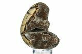 Septarian Dragon Egg Geode - Sparkly Black Crystals #308815-2